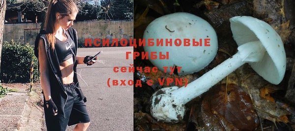 дживик Балабаново