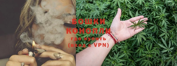 дживик Балабаново
